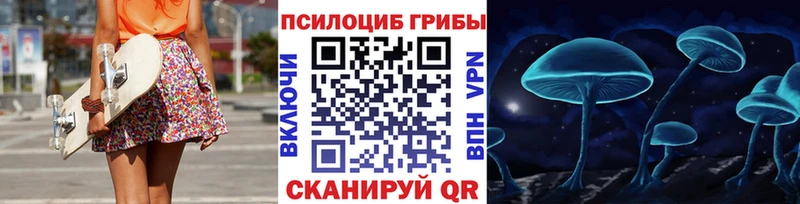 Галлюциногенные грибы прущие грибы закладки Щёлкино